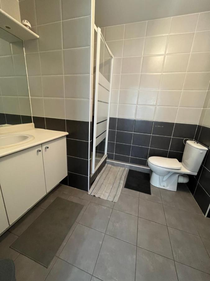 Cosy T2 Lumineux Montpellier